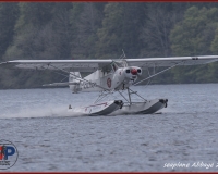 TSR Watermark - 0258
